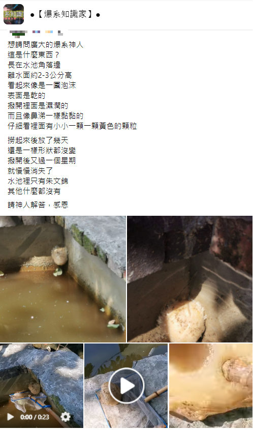 網友發文求解。（圖／翻攝自爆系知識家）