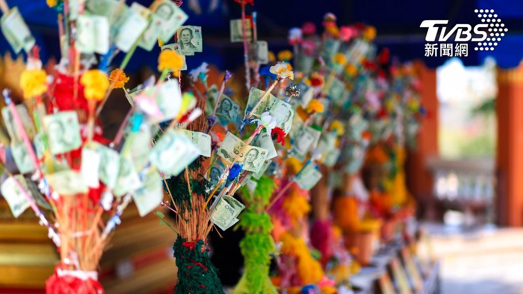泰國金錢樹。(示意圖/shutterstock達志影像)