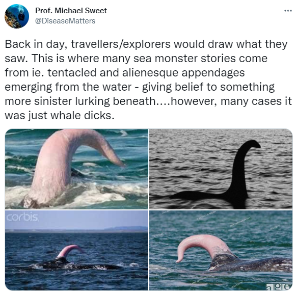 生物學家史維特在推特發表對尼斯湖水怪的見解。(圖/翻攝自@DiseaseMatters推特)