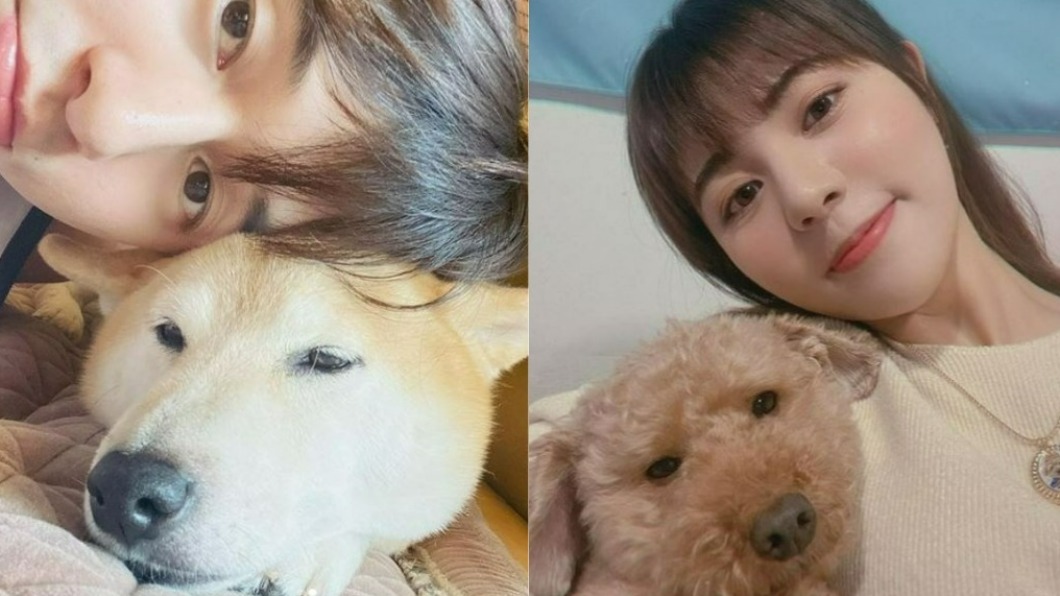張軒睿與Jessica皆是愛狗人士。(圖/翻攝自張軒睿、Jessica IG)