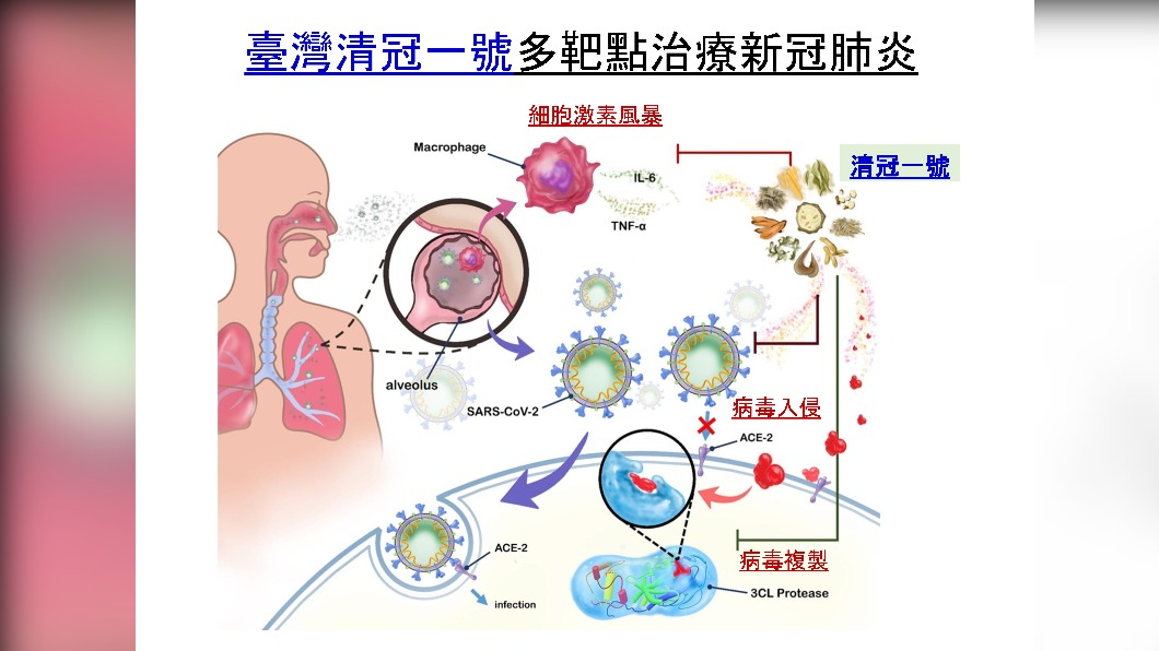 台灣清冠一號多靶點治療新冠疫苗。(圖/蘇奕彰提供)
