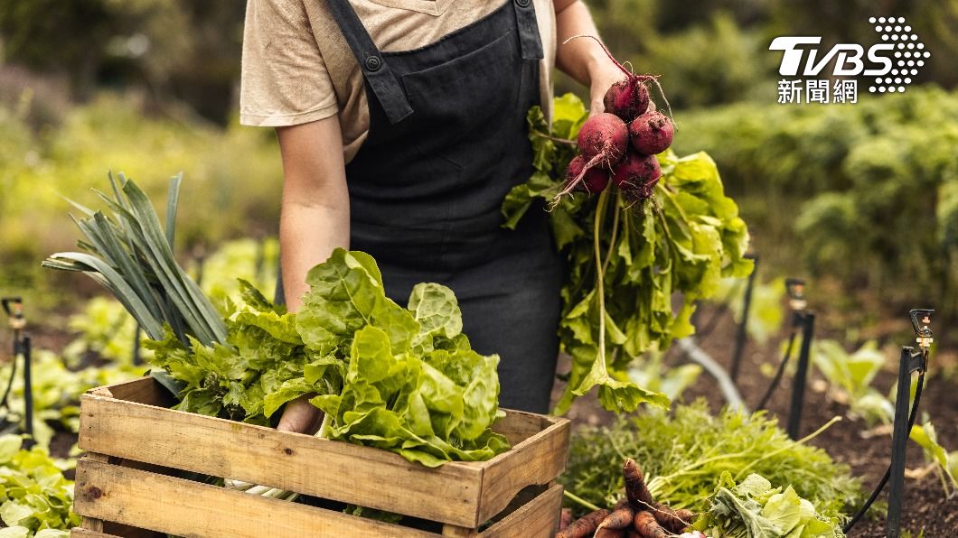 各國對「有機、天然食品」的規範不同。(示意圖/shutterstock達志影像)