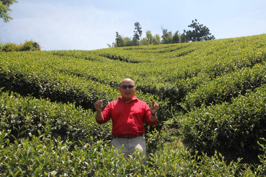 TEA TOP董事長楊國珍。（圖／TEA TOP）