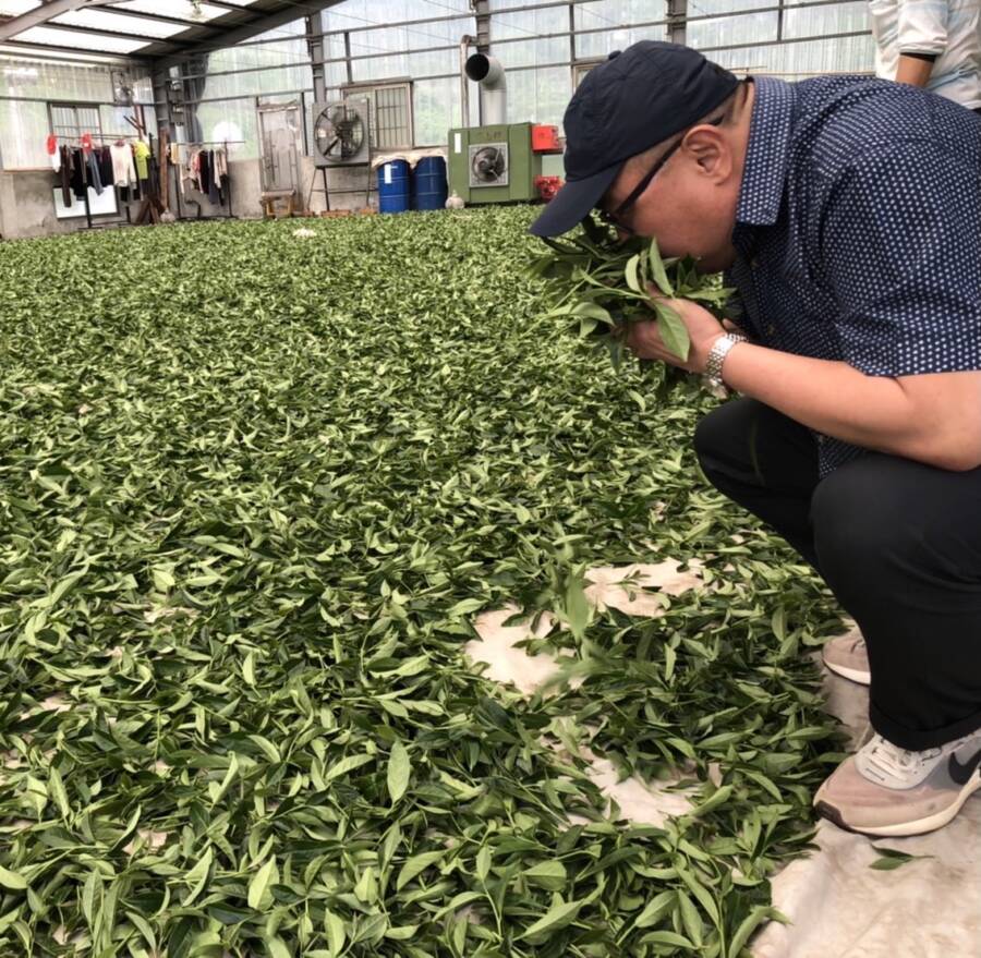 TEA TOP董事長楊國珍。（圖／TEA TOP）