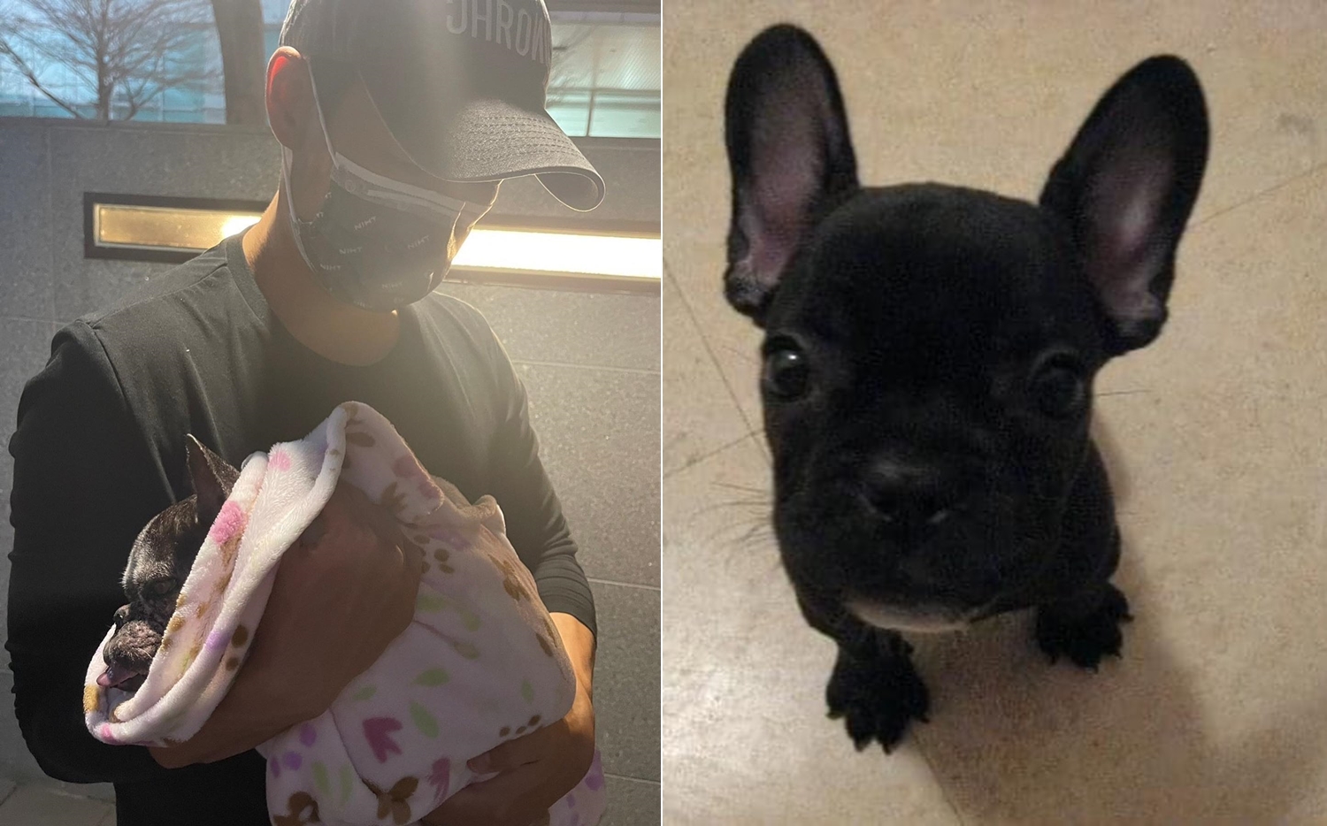 對藍鈞天來說,愛犬Ashlee猶如是他的孩子。(圖/翻攝自藍鈞天臉書)