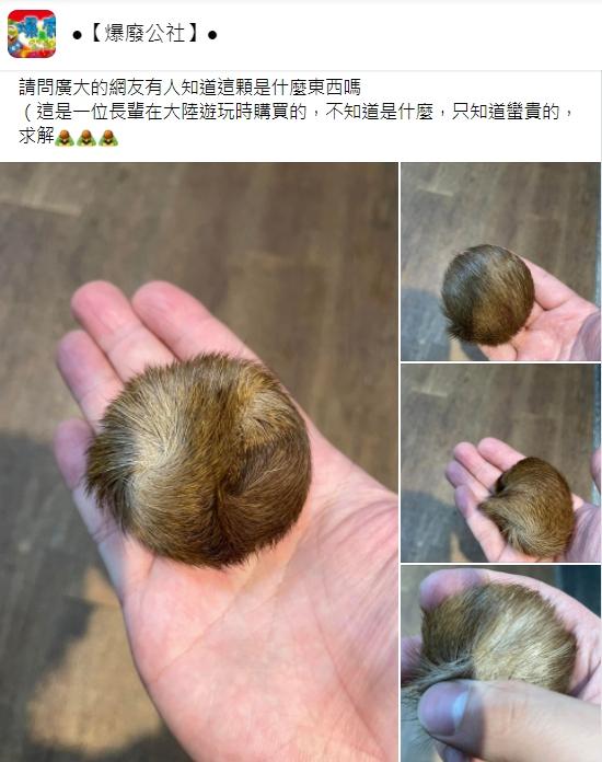 網友好奇毛球的真面目。(圖/翻攝自爆廢公社)