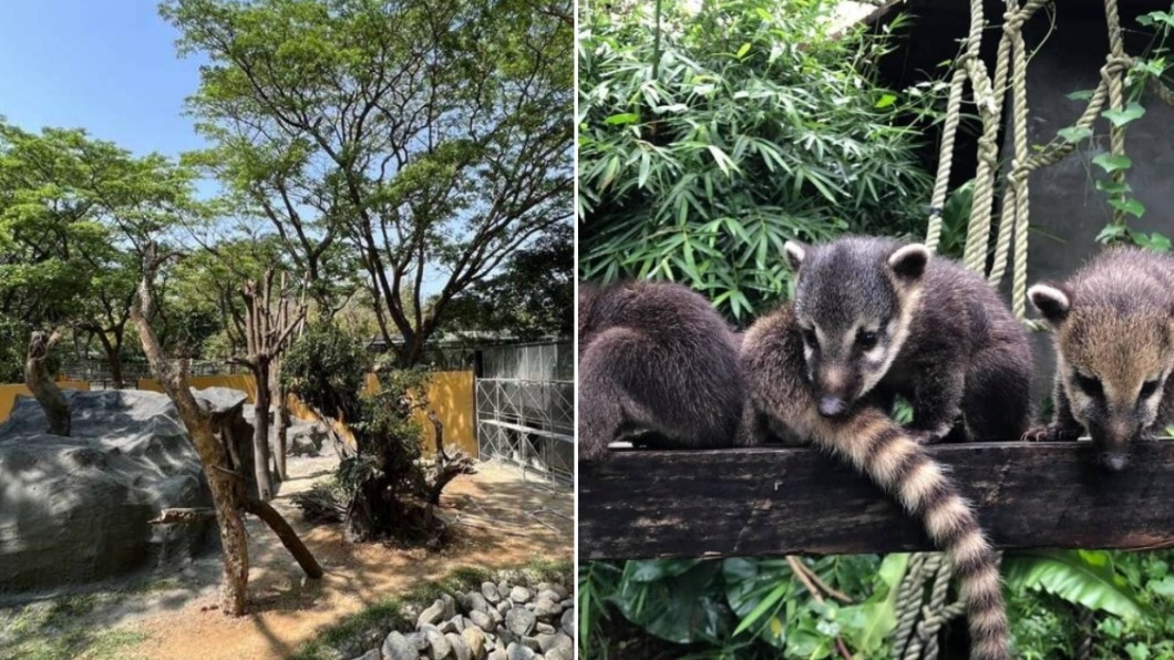 快收入口袋名單!壽山動物園預計9月開園 3大新設施曝