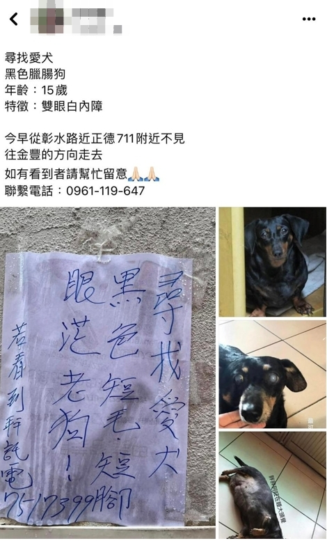 陳女臘腸19日上午走失。(圖/翻攝自陳姓飼主臉書)