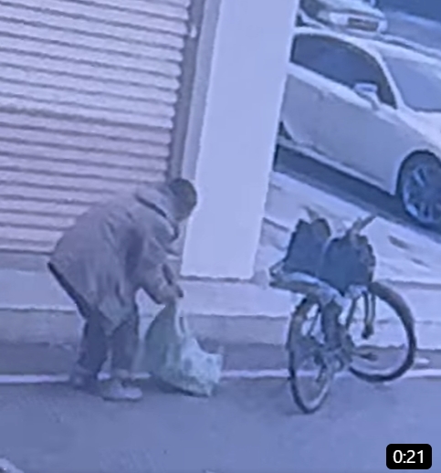 過程中狗狗不斷掙扎。(圖/翻攝自貓咪也瘋狂俱樂部臉書)