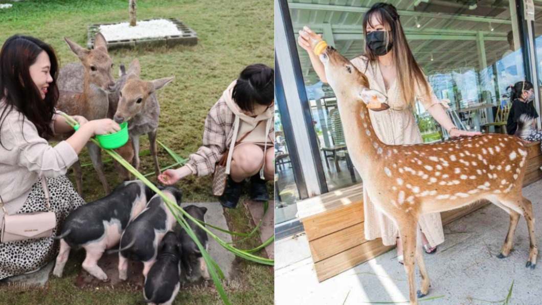 爸媽快看！北中南6大體驗農場　免門票即享受親子出遊趣