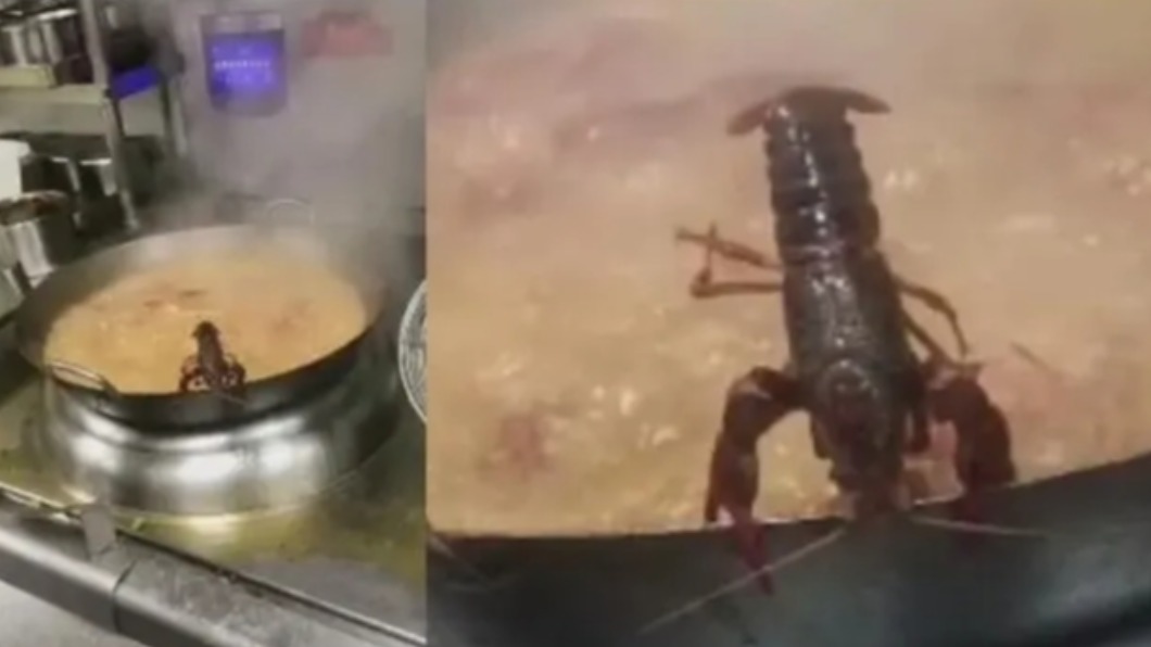 吃到小龍蝦逃命！緊抓邊緣不願下油鍋　網驚：求生欲太強