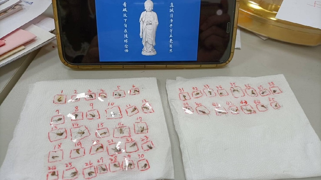 男滅殺103隻蚊子 自製塔位放佛經超渡:一路好走