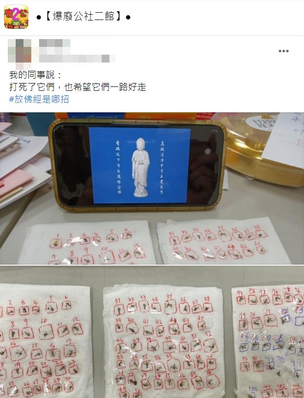 原PO同事說既然打死了牠們那也就希望牠們一路好走。(圖/翻攝自爆廢公社二館)