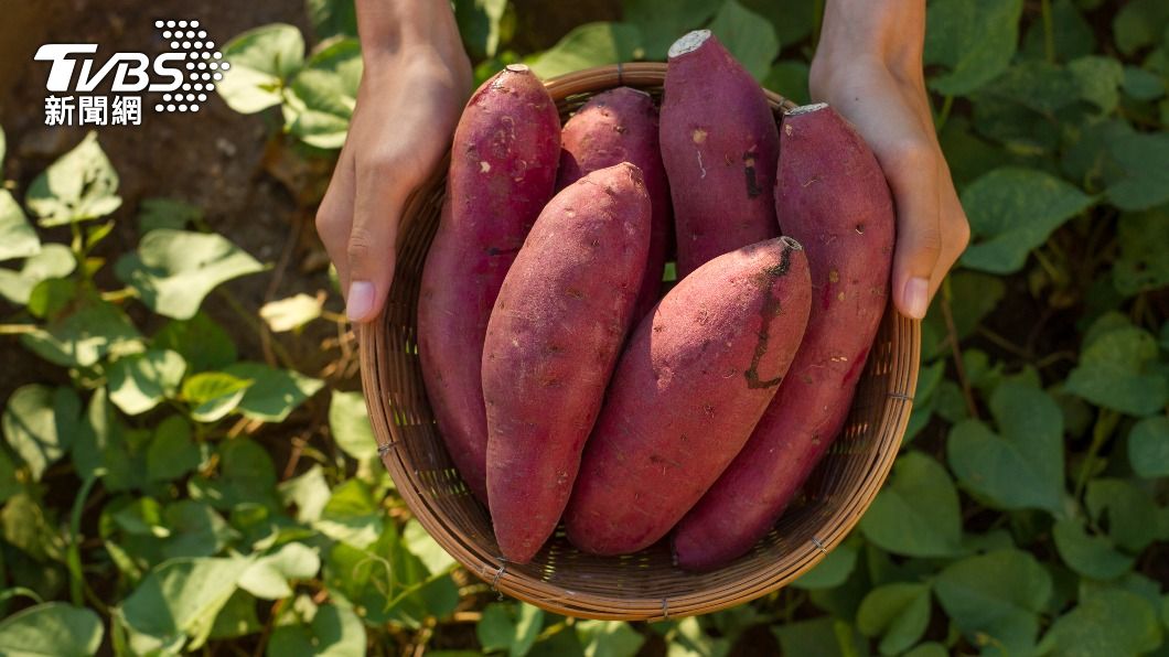 地瓜獲封「超級食物」!6大優點曝光 護心、防血管硬化