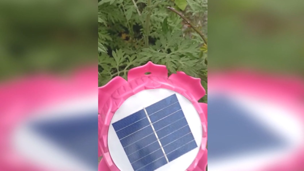 圖/翻攝中橫路況交通資訊站