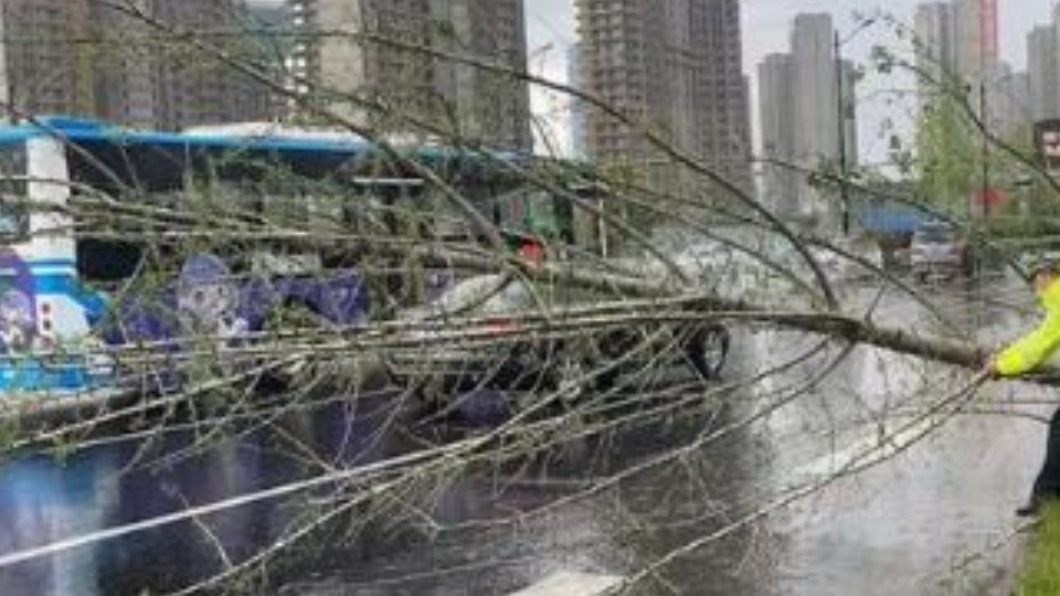 圖/翻攝自網路