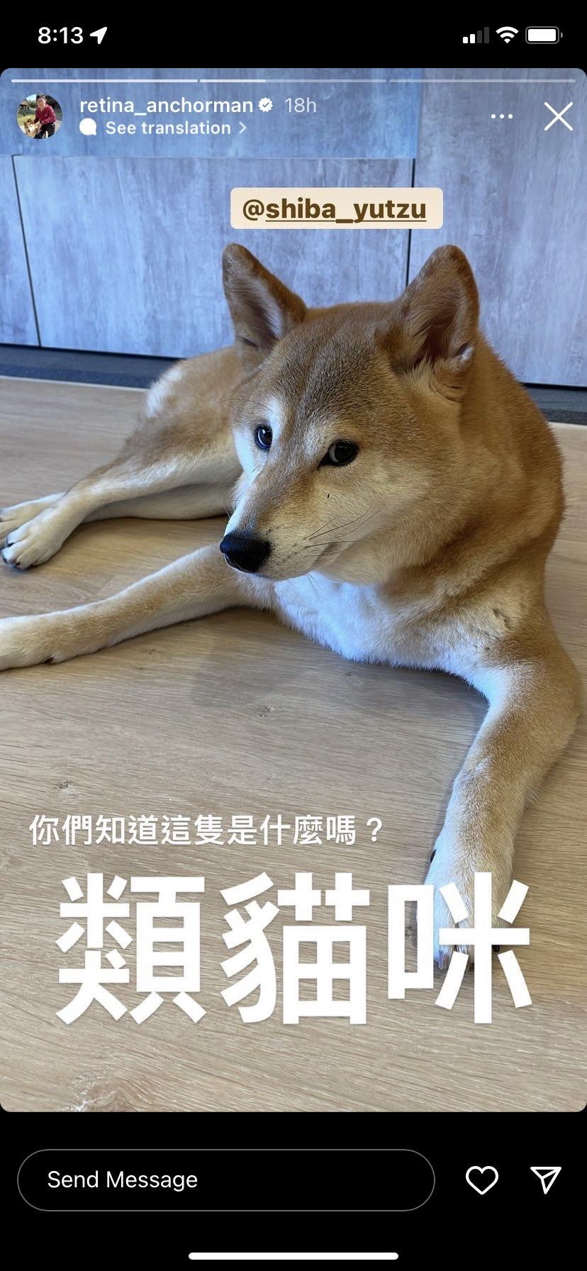 視網膜用「類貓咪」來調侃。(圖/翻攝自視網膜IG)