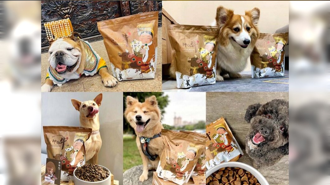 萌寵也瘋大甲媽！「神仙牛」狗飼料天然健康　毛孩搶著吃
