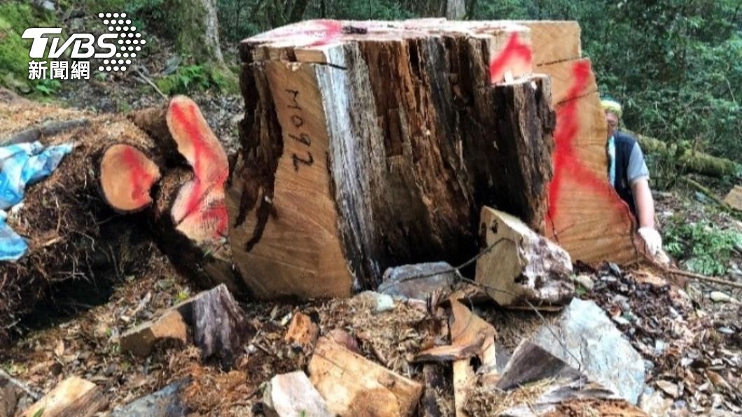 失聯移工盜獵「台灣長鬃山羊」 囂張發網炫耀、販售