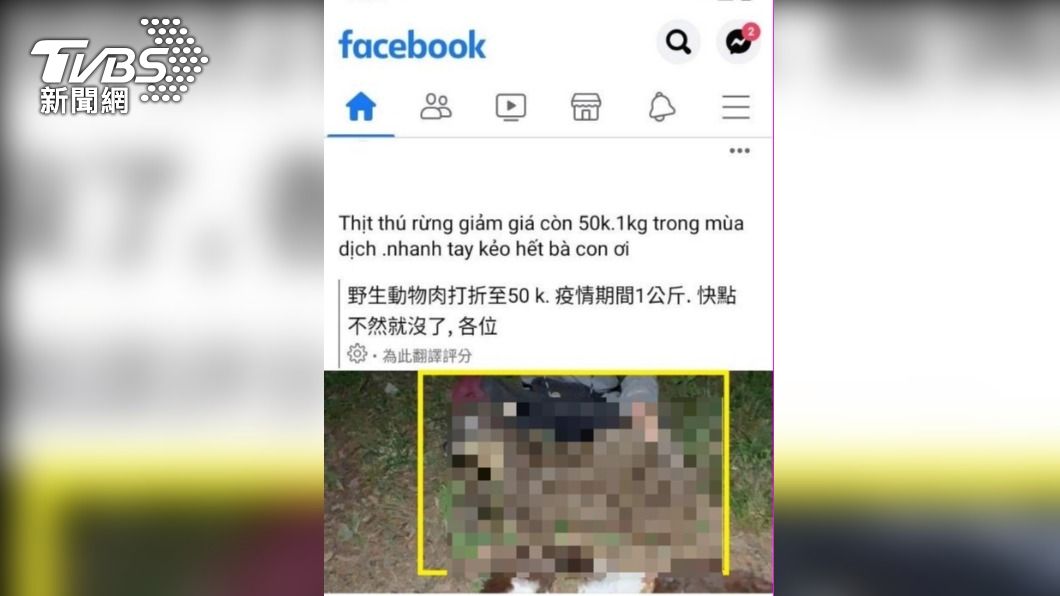 移工在網路上販售盜獵的保育類動物。(圖/移民中區事務大隊)