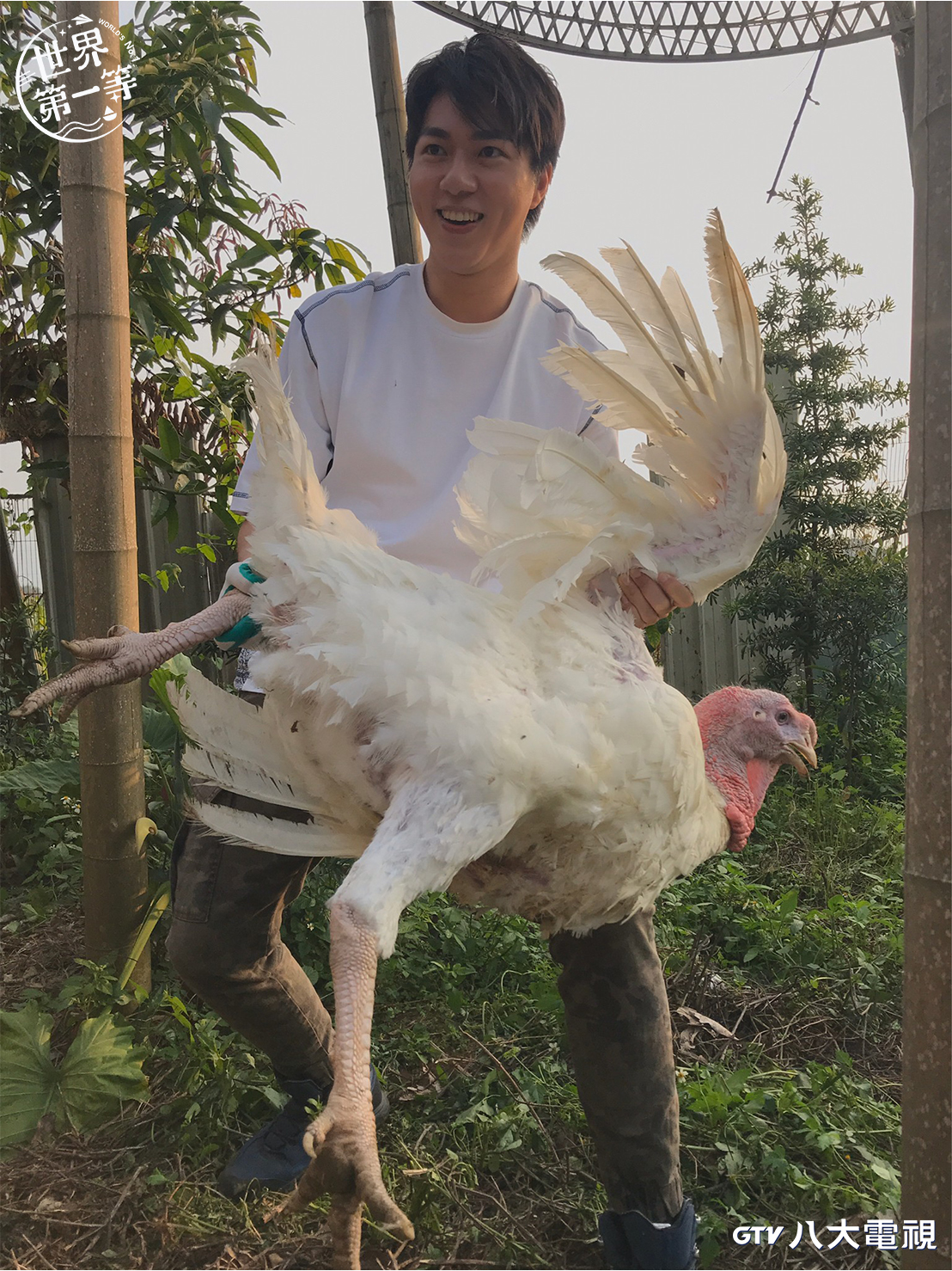 古程丰在外景被火雞嚇得魂飛魄散。(圖/八大提供)