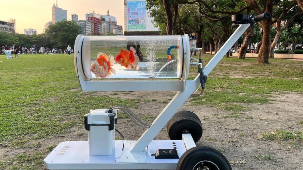 行動水族缸「遛金魚」爆紅! 身份曝光:最強手作YTR