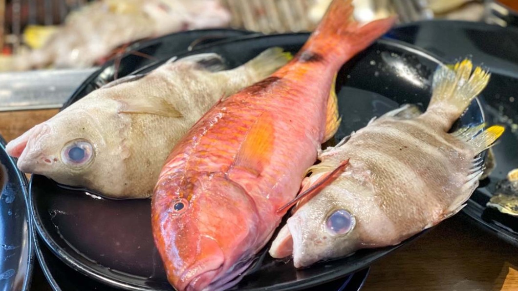 這3條分別是秋姑、打鐵魚是主廚強力推薦一定要吃的魚。（圖／跟著皮皮爬爬go提供）
