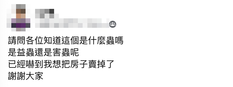 網友在家中發現怪蟲。（圖／翻攝自爆廢公社二館）