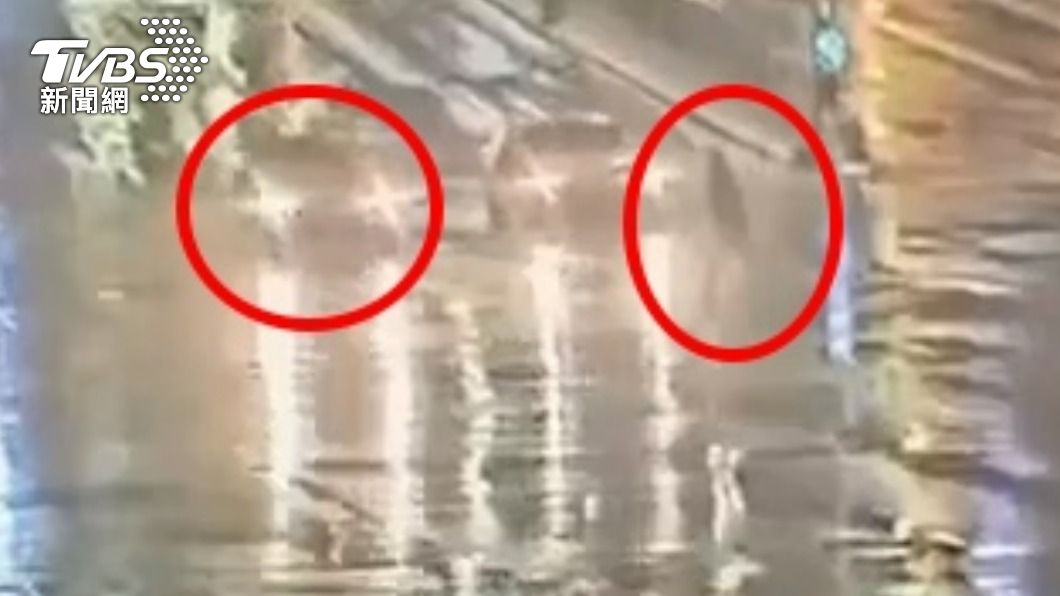 莊男走在斑馬線上發現車道號誌變成綠燈時想要加速。(圖/TVBS)