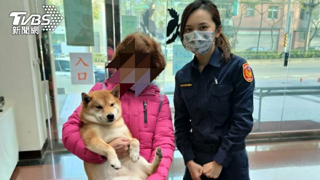 埔子所添新成員 「阿埔」米克斯犬助員警掃陰霾