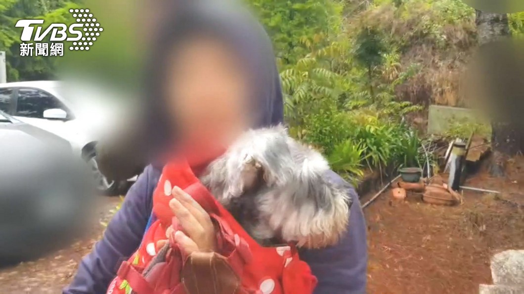 圖／TVBS
