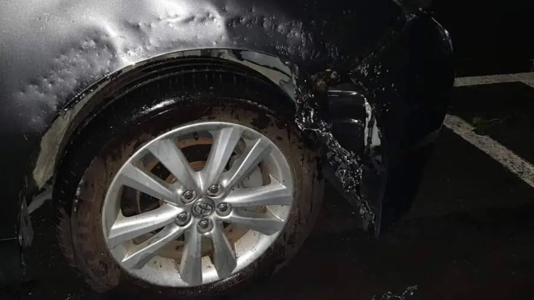 葉子板遭啃食 、無法向肇事浪浪求償 車主崩潰
