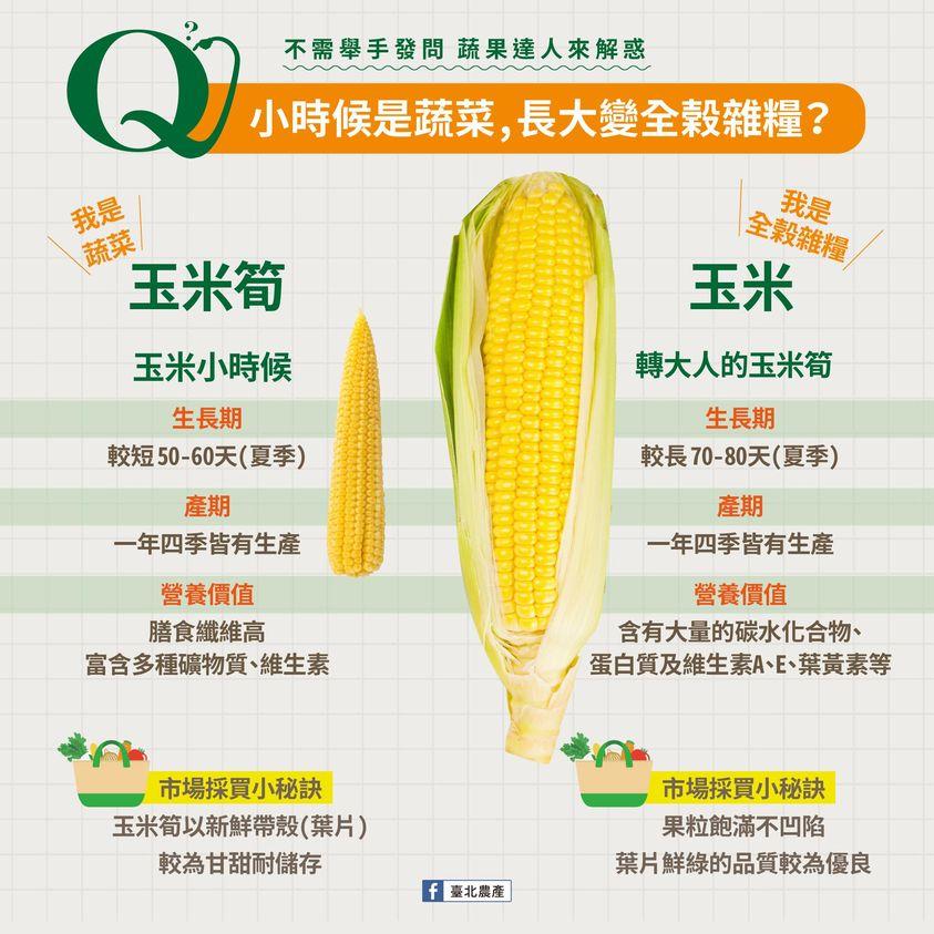 台北農產解釋玉米筍和玉米的差別。（圖／翻攝自台北農產粉專）