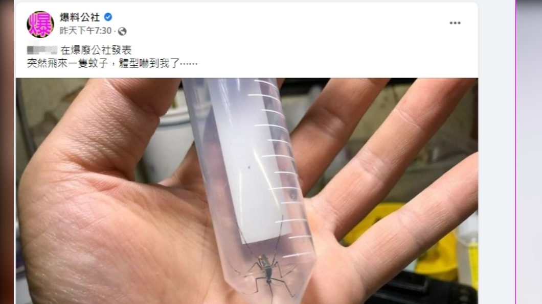 圖／翻攝自臉書爆料公社