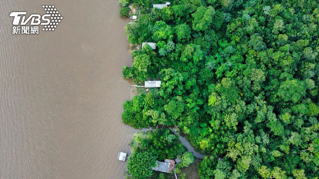 亞馬遜雨林外號「地球之肺」,對於對抗全球暖化至關重要。(圖/達志影像美聯社)