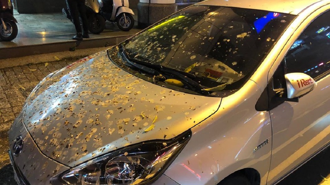「黃金停車位」沒人搶 他曬照片網秒懂:會停都是外地人