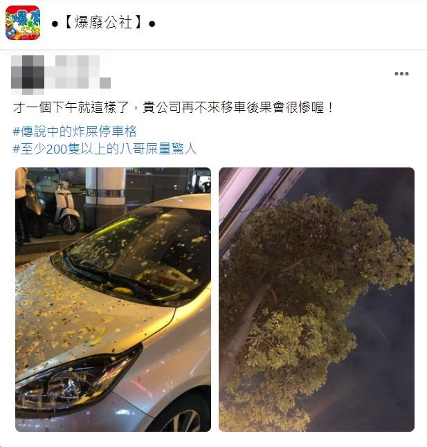 有在地人回應會停在這一格的一定都是外地來的人。（圖／翻攝自爆廢公社）