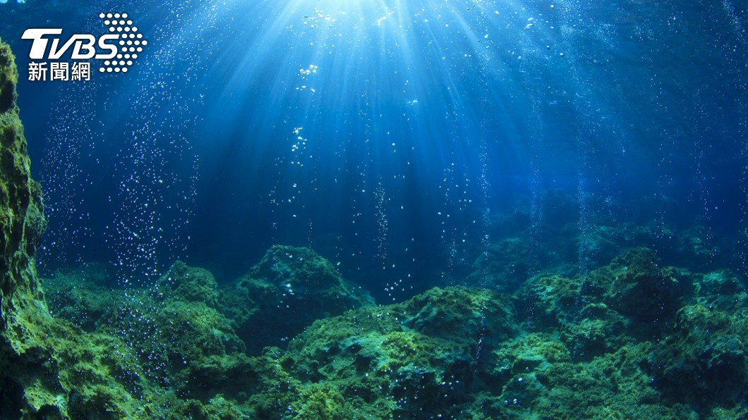 其實海洋生態仍有許多未知生物等著被人類發掘。（示意圖／shutterstock 達志影像）