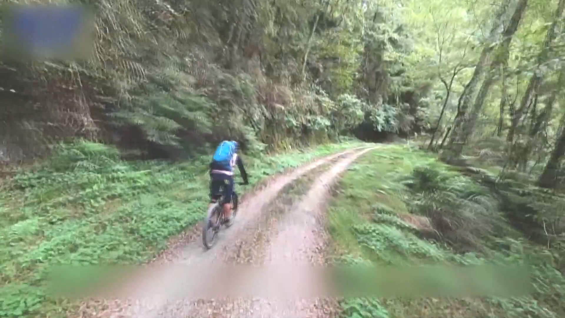 圖／翻攝 youtube MTB 101