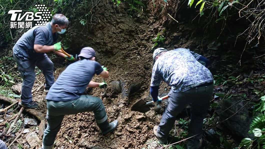 上月才野放！東卯山黑熊慘遭掩埋　頭胸有傷疑遇害