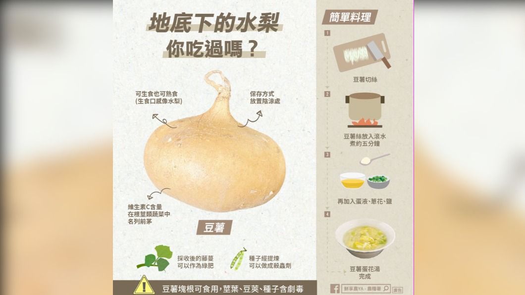 農糧署提醒,食用豆薯要注意。(圖/翻攝自鮮享農YA農糧署臉書)