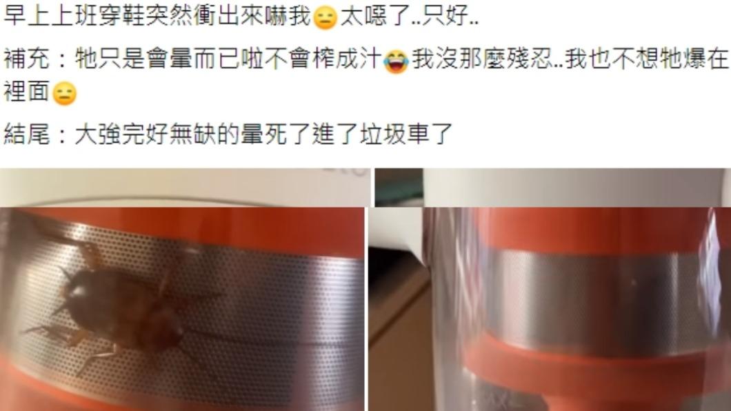 有網友拿吸塵器來捕蟑螂。(圖/翻攝自臉書社團爆廢公社公開版)