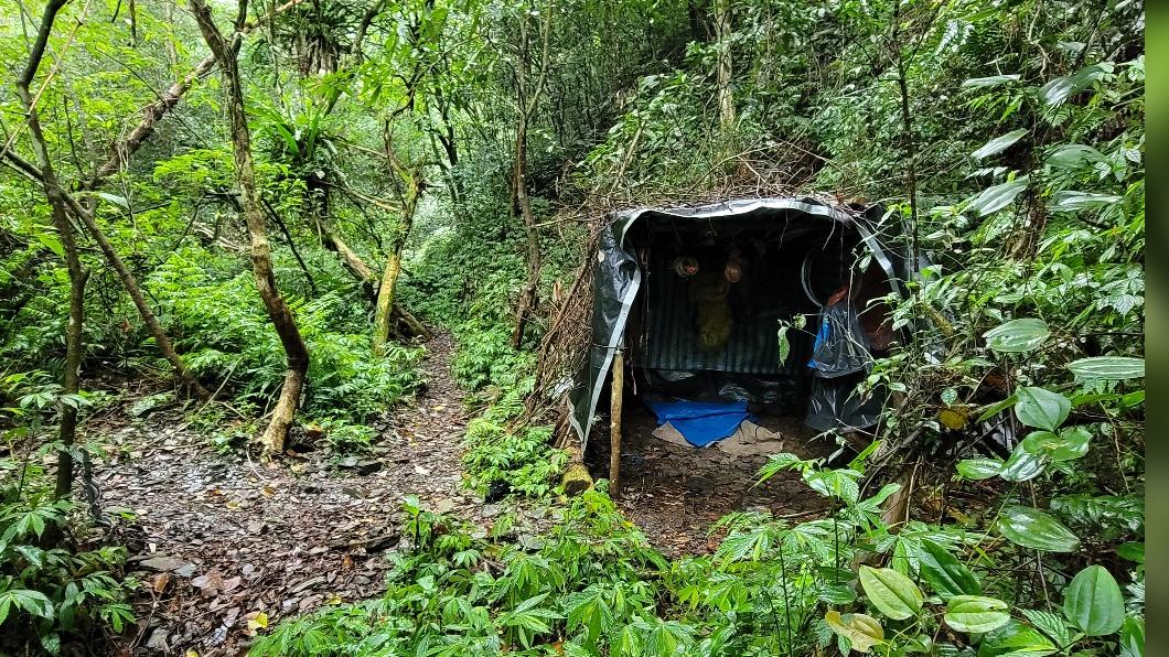 可惡! 黑熊東卯山遇害現場滿地蛆蟲 附近獵寮是否獵捕待查