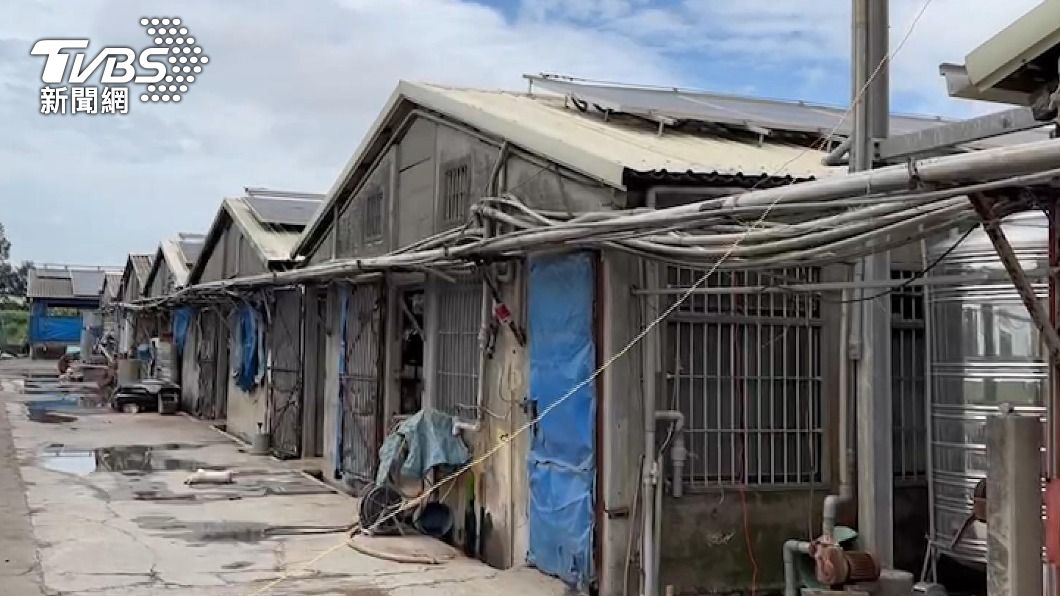 豬農將屋頂租給太陽能設備廠商。（圖／TVBS）