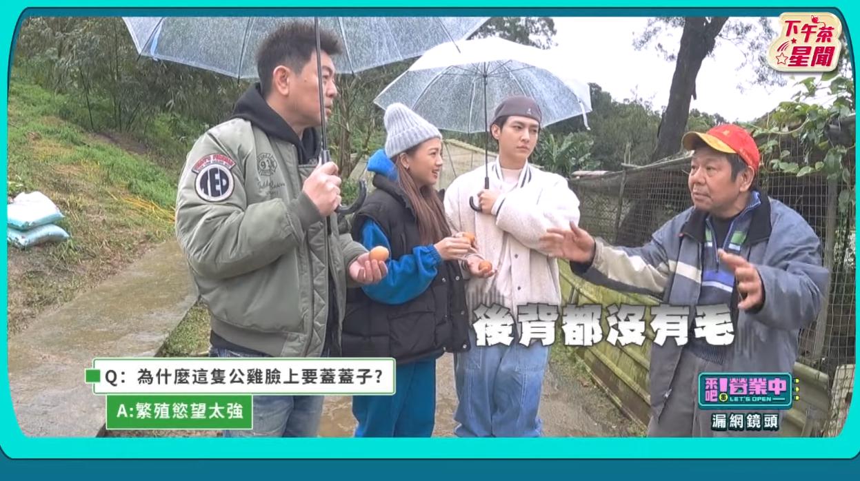 雞舍老闆解釋是那隻公雞的性慾太強。(圖/翻攝《來吧!營業中》節目片段)