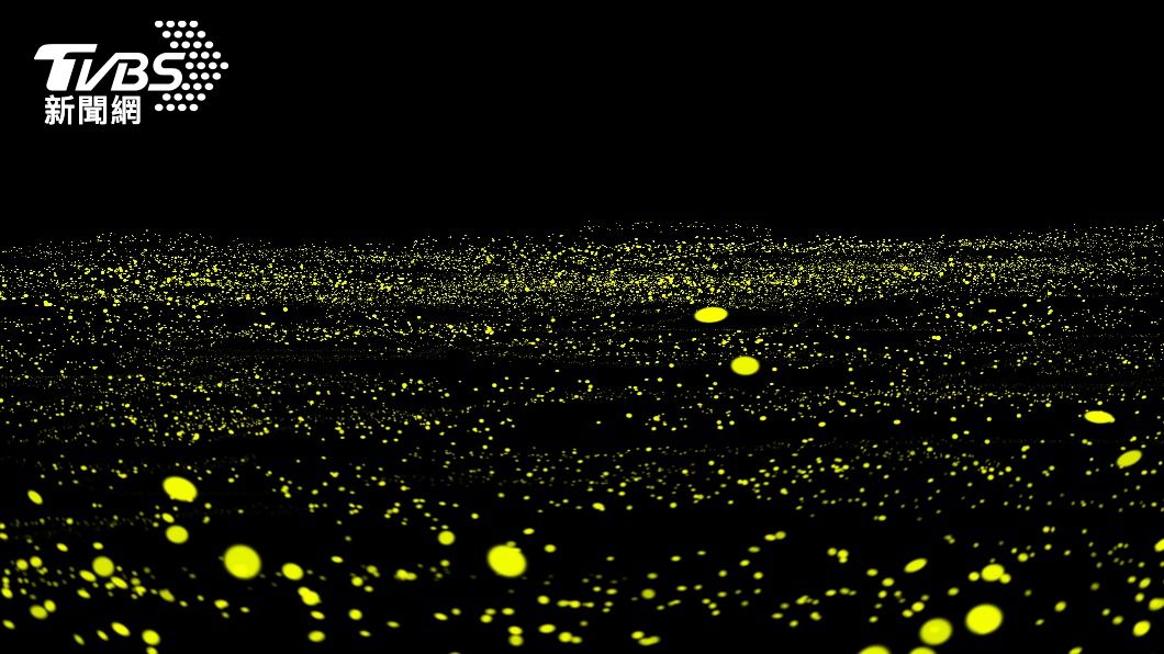 四、五月是螢火蟲出沒的季節。(示意圖/shutterstock達志影像)