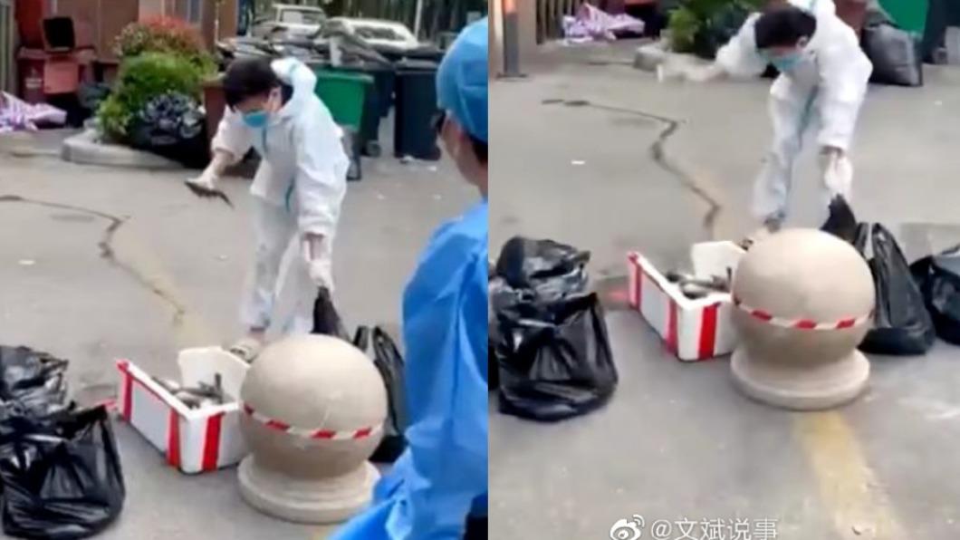 上海居民團購活魚當街摔死 網友:能把病毒也弄死?