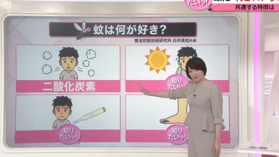 有4大因素會影響蚊子叮咬。（圖／翻攝自《知りたいッ》YouTube）