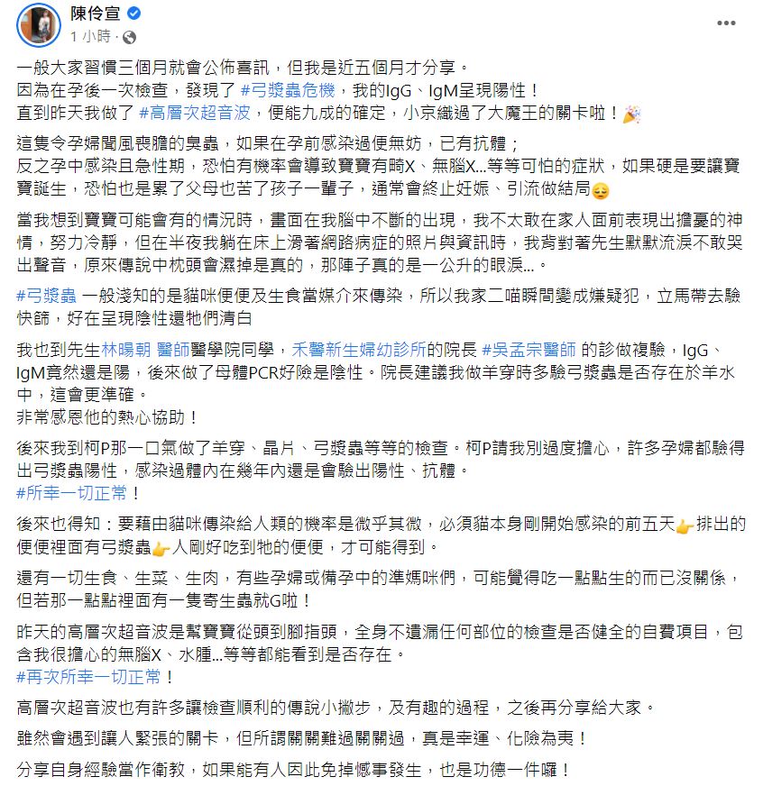 陳伶宣分享孕檢經驗。(圖/翻攝自陳伶宣臉書)