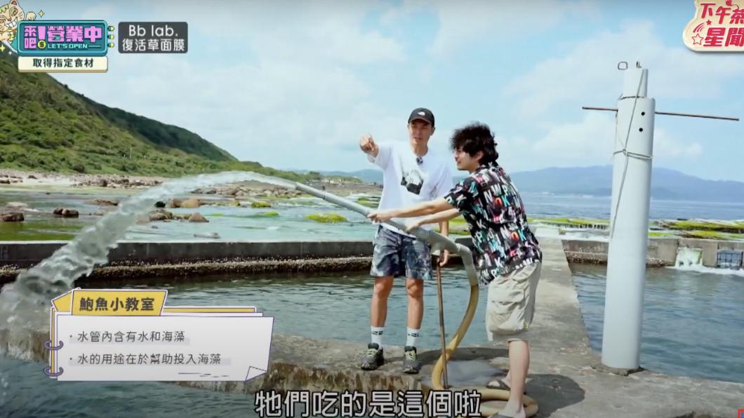姚元浩和楊銘威到鮑魚養殖池。(圖/翻攝《來吧!營業中》節目片段)